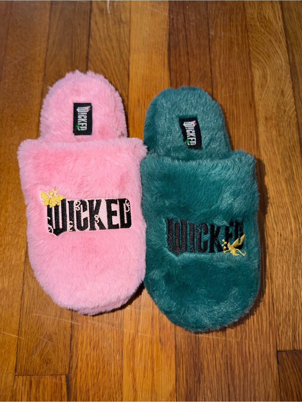 Wicked slippers